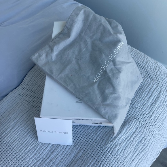 Manolo Blahnik Taupe Pumps - Picture 4 of 7